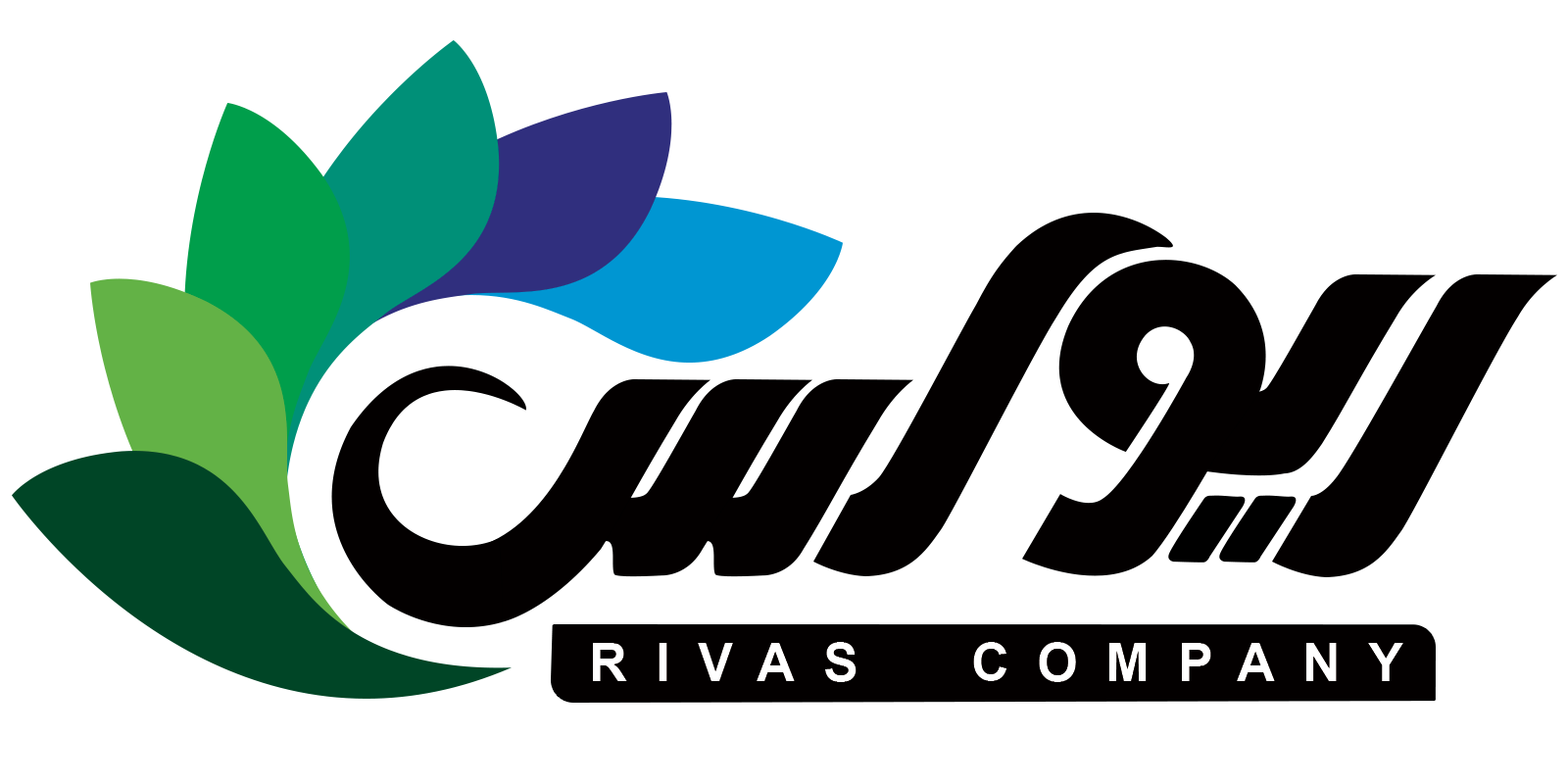  Rivas company, with experienced managements,staffs and also world-class technical knowledge, has been producing flowers , ornamental plants (garden, apparatus) and leaf soil in a specialized manner since 1996. 
Professionally, it has been producing and growing Dutch cut roses since 2001.
According to the strategy of market development and increasing the variety of products, Rivas company has developed a suitable investment program in order to improve the quality and quantity of products.
Currently, Rivas company is active in the production of cut roses with more than 25 varieties of T hybrid roses , 10 varieties of spray roses, eternal roses, leaf soil and technically production of biological predatory insects for greenhouse products in four hectares of modern greenhouses and propagation halls.
 